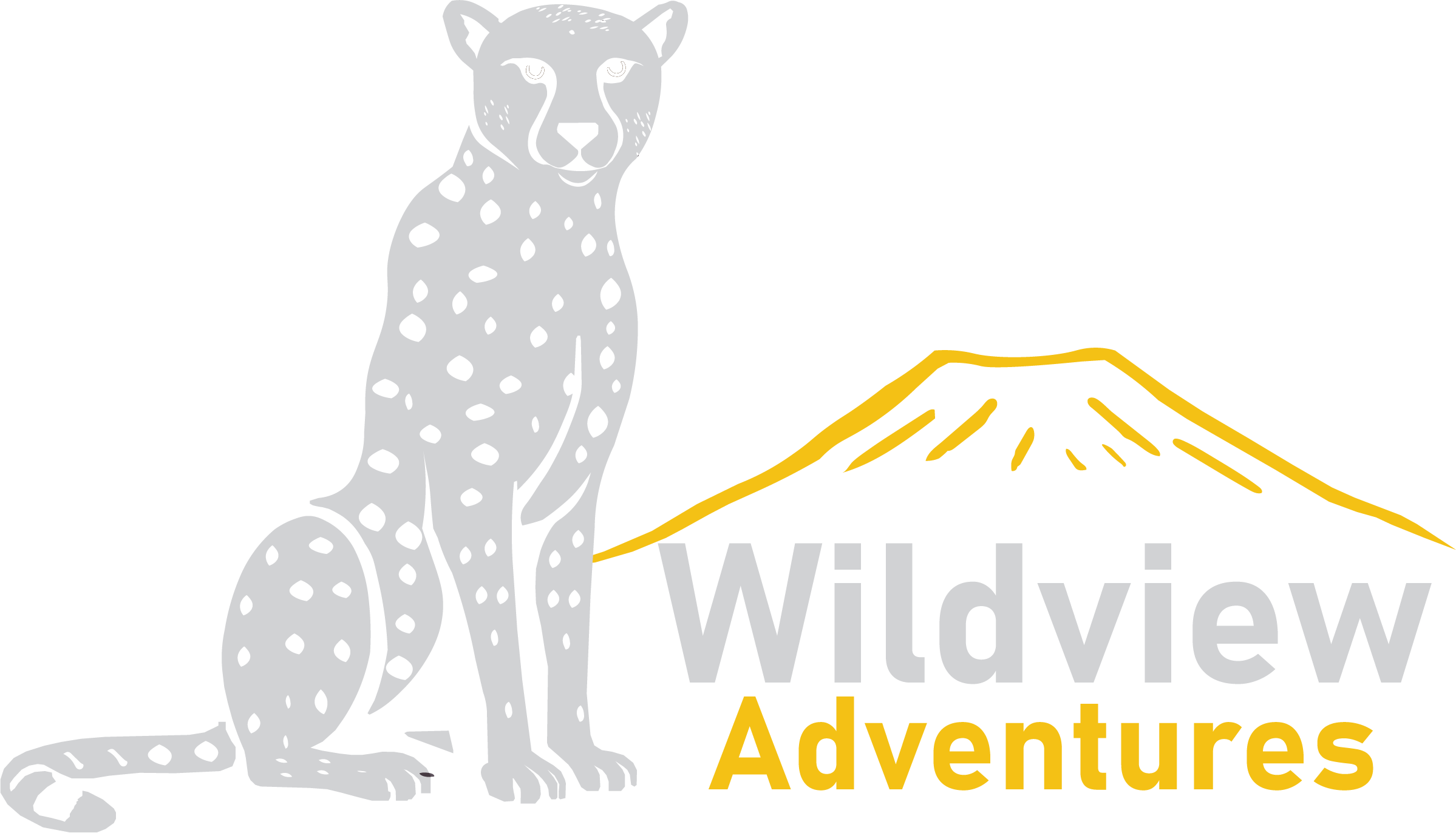 Wildview Adventures Logo
